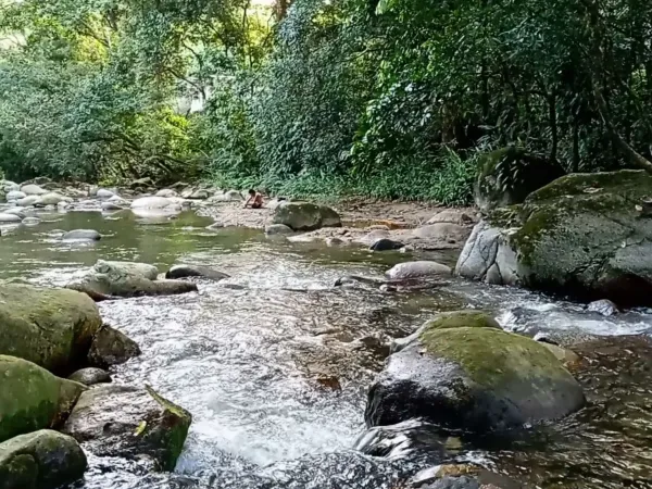 Clean river flowing with stones near the lodge